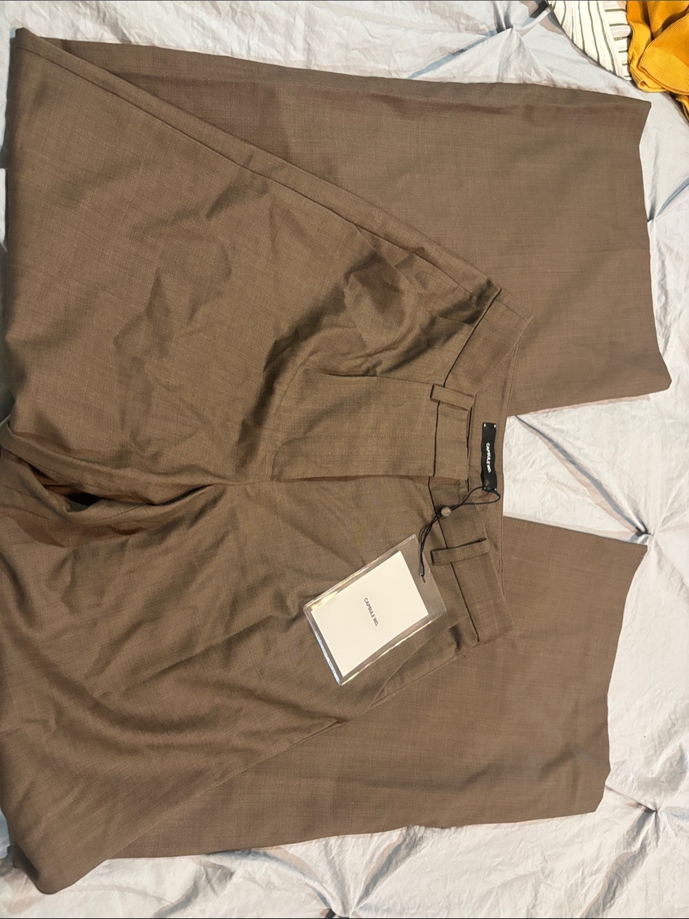Woman's Dress Pants in Brown - CAPSULE WD.